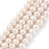 Natural Cultured Freshwater Pearl Beads Strands PEAR-C003-12F-2