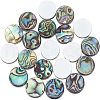 Natural Abalone Shell/Paua Shell Cabochons SSHEL-FH0001-02-1