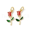 Brass Enamel Charms KK-Q039-10A-G-1