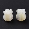 Natural Trochid Shell/Trochus Shell Beads SHEL-P014-01-3
