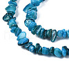 Natural Freshwater Shell Beads Strands SHEL-S278-070F-3