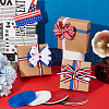   4 Styles Polyester Grosgrain Ribbon & Striped Ribbon OCOR-PH0004-64-5