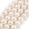 Natural Cultured Freshwater Pearl Beads Strands PEAR-C003-14F-2