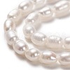 Natural Cultured Freshwater Pearl Beads Strands PEAR-L033-62-01-2