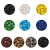 Craftdady 500Pcs 10 Colors 2-Hole Glass Seed Beads SEED-CD0001-02A-3
