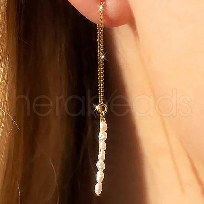 S925 Sterling Silver Tassel Ear Thread ZC4756-1