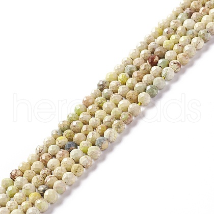 Natural Imperial Jasper Beads Strands G-L578-A07-1