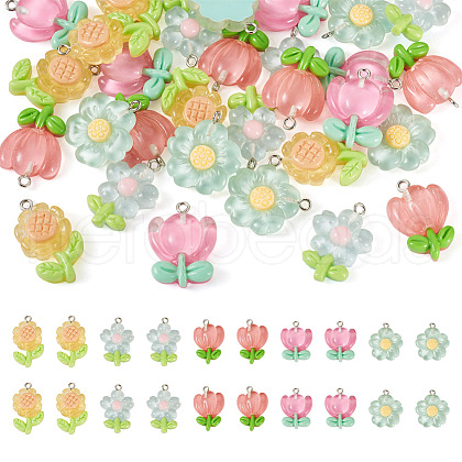 30Pcs 5 Colors Transparent Resin Pendants RESI-TA0001-68-1