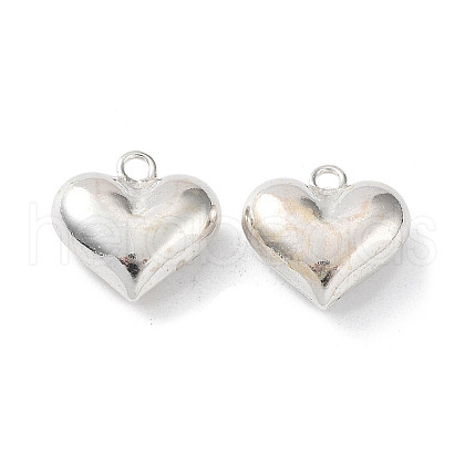 925 Sterling Silver Charms STER-H106-01B-S-1
