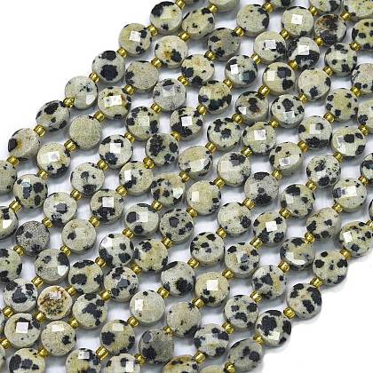 Natural Dalmatian Jasper Beads Strands G-K389-B22-01-1