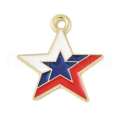 Independence Day Alloy Enamel Pandants FIND-M083-05O-G-1