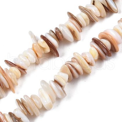 Natural Freshwater Shell Beads Strands SHEL-S278-071D-1