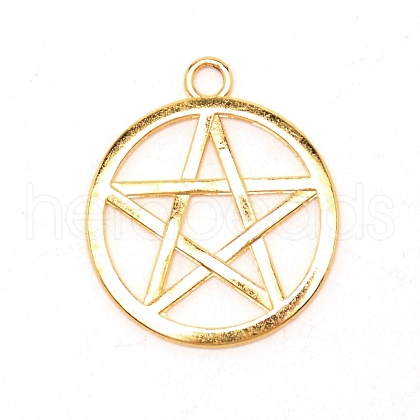 Zinc Alloy Pendants PALLOY-WH0088-60C-G-1