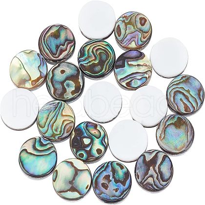 Natural Abalone Shell/Paua Shell Cabochons SSHEL-FH0001-02-1