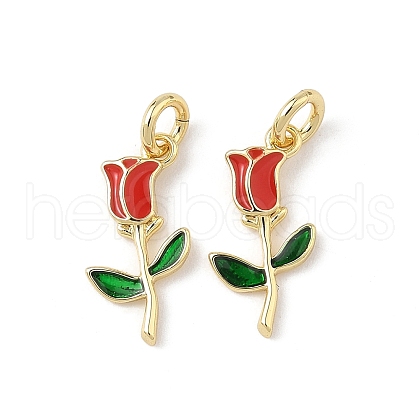 Brass Enamel Charms KK-Q039-10A-G-1