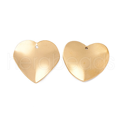 304 Stainless Steel Pendants STAS-G270-03C-G-1