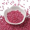 Baking Paint Glass Seed Beads SEED-S042-15A-05-2