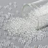 TOHO Round Seed Beads X-SEED-TR08-0101-1