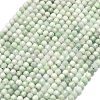 Natural Jadeite Jade Beads Strands G-A260-A36-01-2