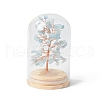 Natural Aquamarine Chips Money Tree in Dome Glass Bell Jars with Wood Base Display Decorations DJEW-B007-04C-1