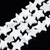 Natural Trochid Shell/Trochus Shell Beads Strands SSHEL-N034-96A-B01-1