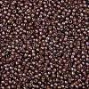 TOHO Round Seed Beads SEED-TR11-1850-2
