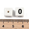Handmade Porcelain Beads PORC-R003-07-00-3