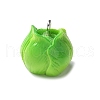 Resin Iron Pendants RESI-D280-03-2