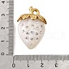 304 Stainless Steel Acrylic Pendants STAS-E549-03G-01-3