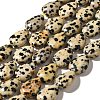 Natural Dalmatian Jasper Beads Strands G-I377-A15-2