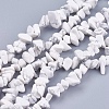 Natural Howlite Stone Bead Strands X-G-R192-15-1