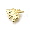 Brass Pendants KK-F899-10G-2