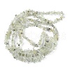 Natural Prehnite Beads Strands G-G0003-B12-3