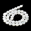Natural Trochus Shell Beads Strands X-BSHE-P033-07-5