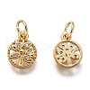 Brass Micro Pave Clear Cubic Zirconia Charms ZIRC-B002-66G-2