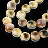 Natural Trumpet Shell Bead Strands SSHEL-N034-113-3