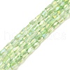 Electroplate Glass Beads Strands GLAA-P068-AB01-1
