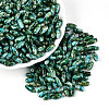 Baking Paint Glass Seed Beads SEED-N008-06I-1