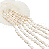  5 Strands Natural Cultured Freshwater Pearl Beads Strands PEAR-NB0002-58-1