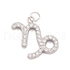 316 Stainless Steel Micro Pave Cubic Zirconia Pendants STAS-K284-01E-P-1