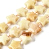 Natural Topaz Jade Beads Strands G-U023-C01-06-2