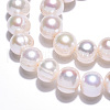 Natural Cultured Freshwater Pearl Beads Strands PEAR-N013-08C-3