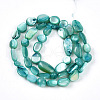 Natural White Shell Beads Strands SHEL-N036-21C-2