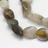 Natural Botswana Agate Beads Strands G-L464-03-2