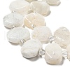 Natural Rainbow Moonstone Beads Strands G-G072-A02-02-4