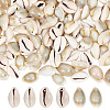 GOMAKERER 250~300Pcs Natural Cowrie Shell Pendants BSHE-GO0001-06-1