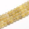 Natural Gold Rutilated Quartz Beads Strands G-R446-8mm-12-1