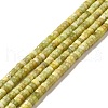 Natural Idocrase Beads Strands G-I339-03A-2