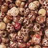 Printed Natural Wood Beads WOOD-TA0001-14-4