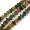 Natural Indian Agate Beads Strands G-G085-B11-02-1